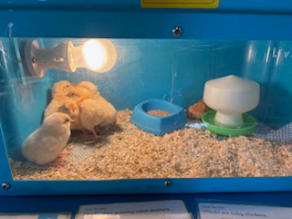 Chesterton Playgroup