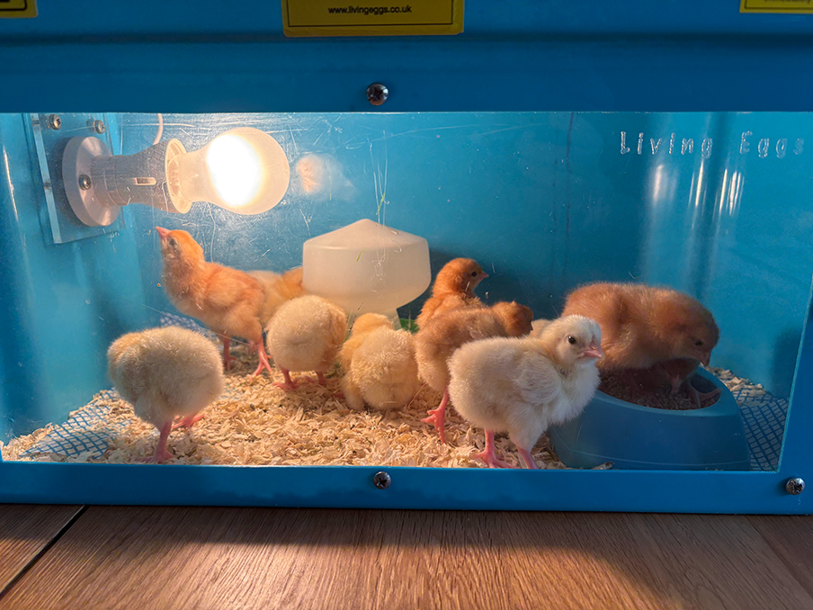 Chesterton Playgroup